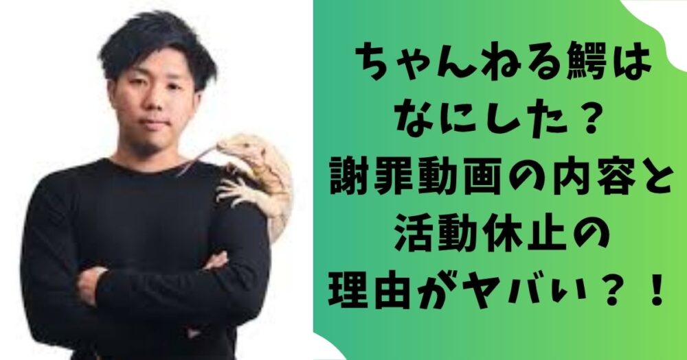 ちゃんねる鰐はなにした？謝罪動画の内容と活動休止の理由がヤバい？！