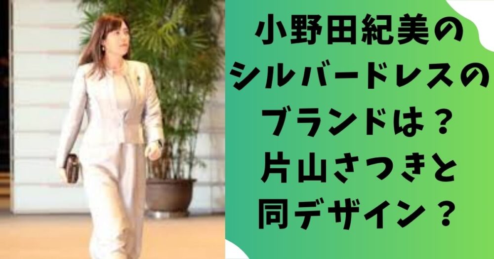 【どこの】小野田紀美のシルバードレスのブランドは？片山さつきと同デザイン？