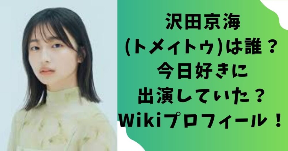 【何者】沢田京海(トメィトゥ)は誰?今日好きに出演していた?Wikiプロフィール!