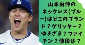 山本由伸のネックレス(ブルー)はどこのブランド？グリッター？ゆきざき？ファイテン？値段は？